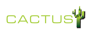 logo CACTUS accounting services bonaire ocan caribiscb