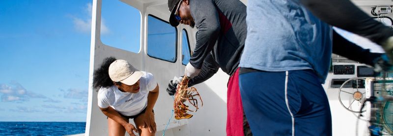 ocan caribisch natuur in de cariben kijktip aruba bonaire boneiru curacao  korsou saba sintmaarten sinteustatius statia