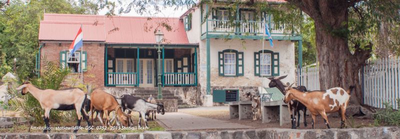 Caribisch Ocan Statia Day attribution Statia Wildlife CC BY-NC-SA 2.0 FLickr